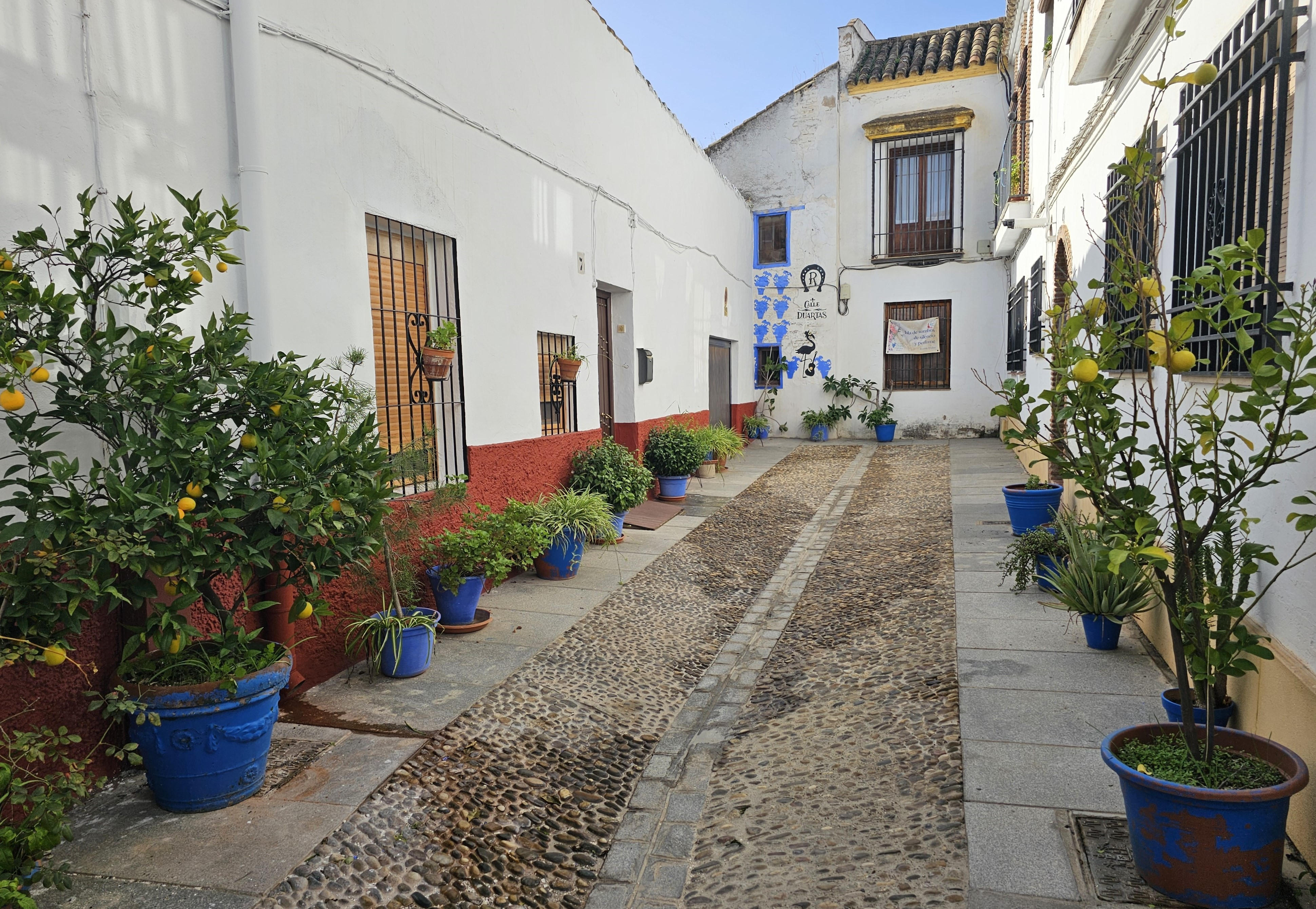S_Spain